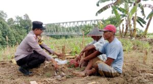 Bhabinkamtibmas Polsek Trucuk Sambangi Petani Jagung, Dukung Ketahanan Pangan di Bojonegoro